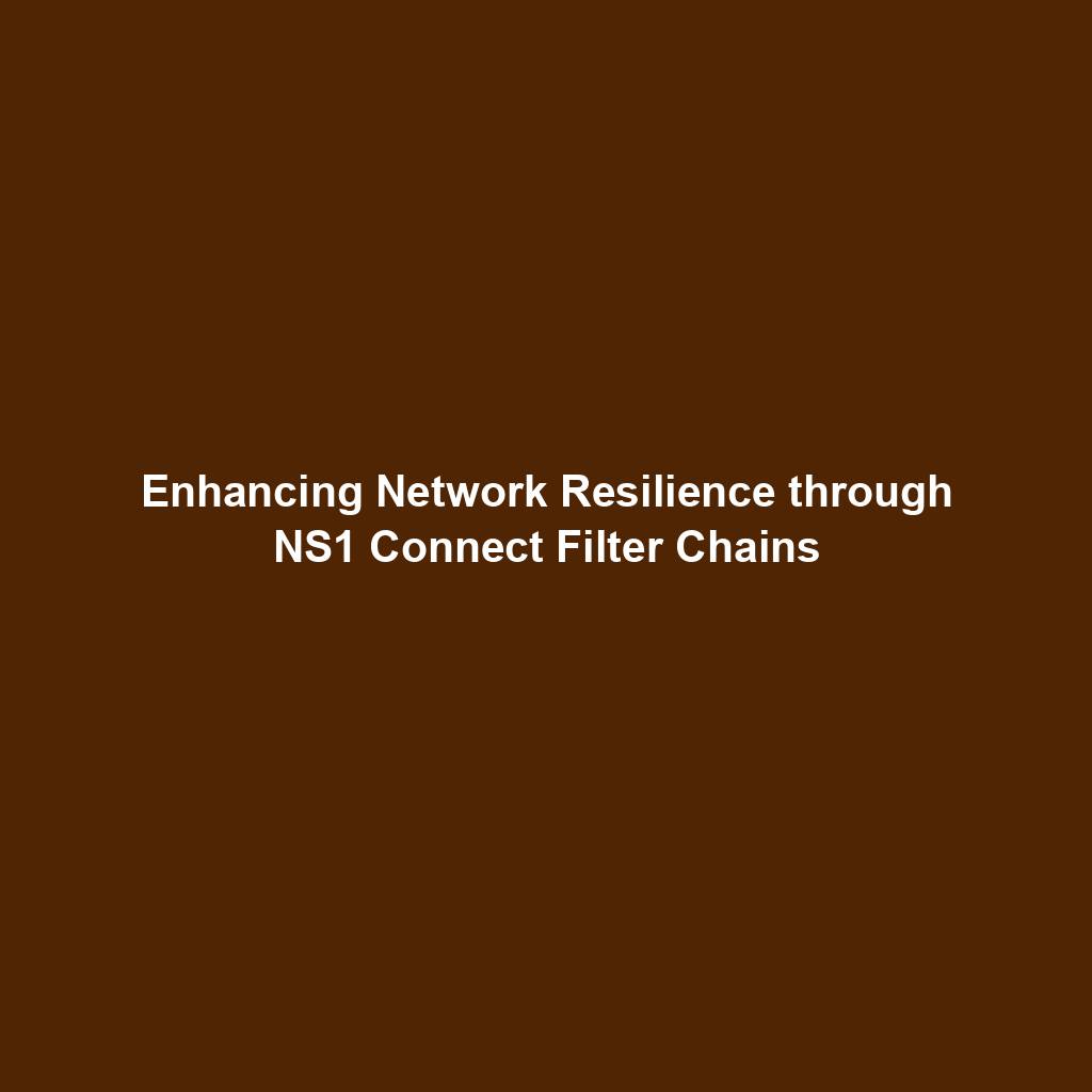 Featured image for “Enhancing Network Resilience through NS1 Connect Filter Chains”